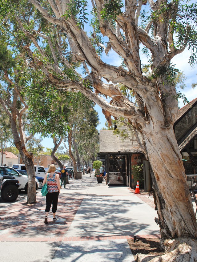 Charming Laguna Beach, an artistic haven in Orange County, California
