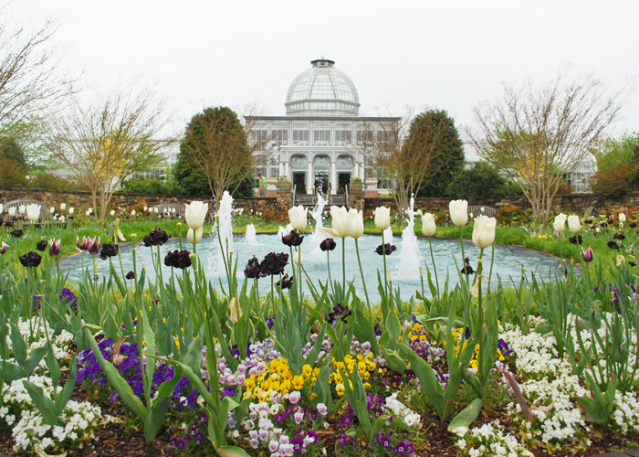 Visiting the Lewis Ginter Botanical Garden in Richmond, Virginia | Em Busy Living